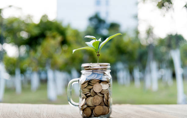 istock Green plant growing from the coins jar 1238994492