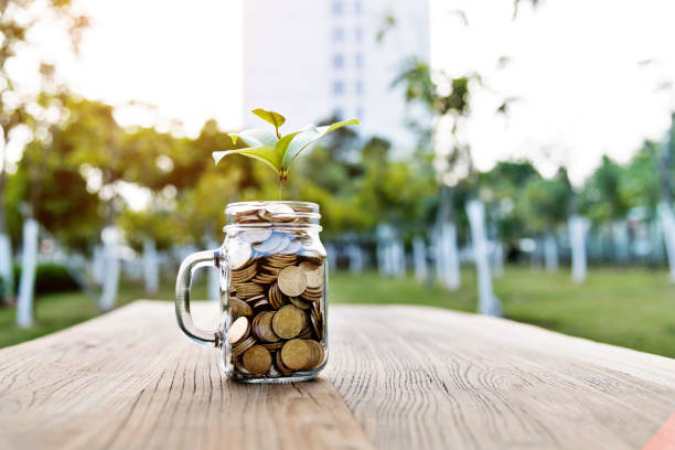 istock Green plant growing from the coins jar 1238997104