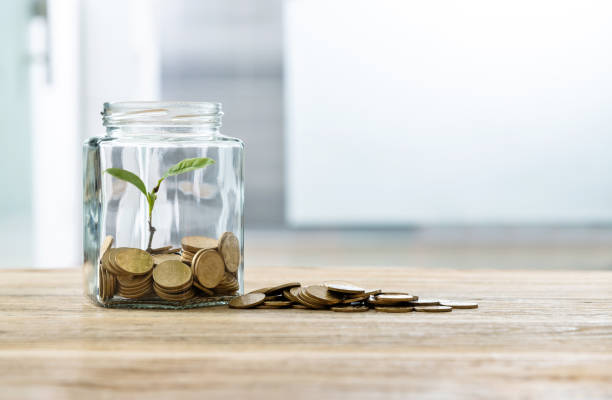 istock Green plant growing in the coins jar 1239011141