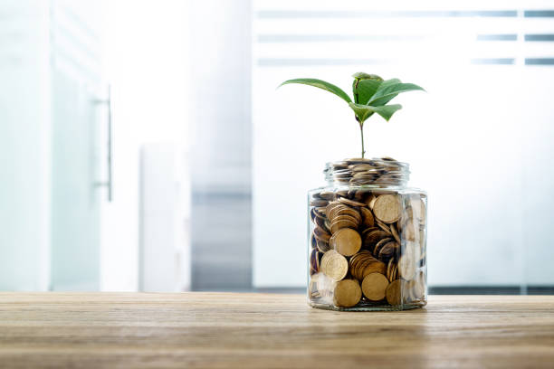 istock Green plant growing from the coins jar 1239013108