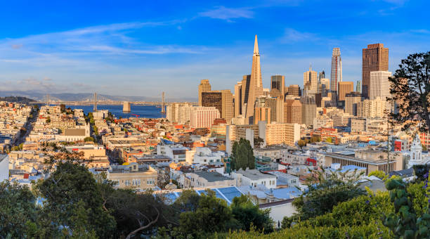 istock San Francisco skyline panorama before sunset with Bay Bridge and downtown skyline 1239014702