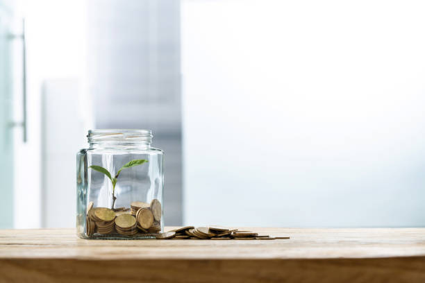 istock Green plant growing in the coins jar 1239019349