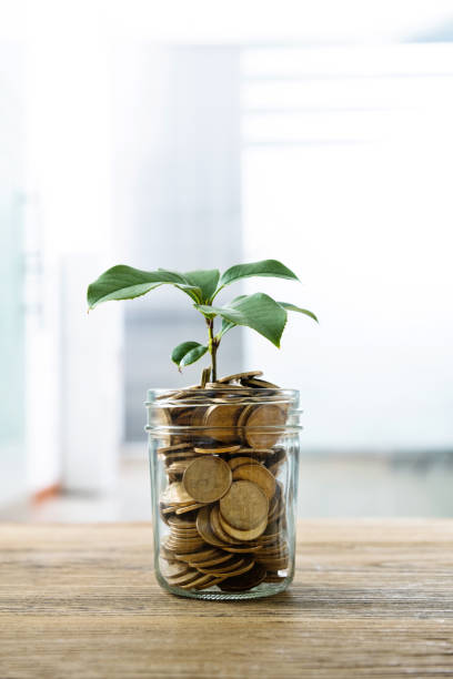 istock Green plant growing from the coins jar 1239022446