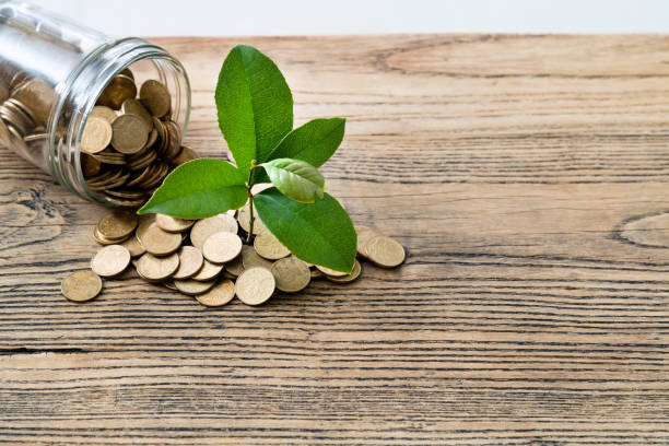 istock Background of plant growing from coins 1239022981