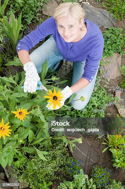 Jardinagem - Fotografias de stock e mais imagens de Plantar - Plantar, Margarida-amarela, Canteiro de flores