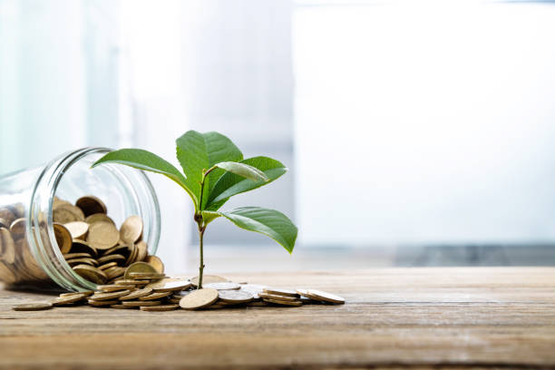 istock Background of plant growing from coins 1239034362