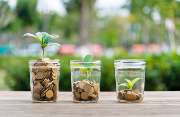 istock Green plants growing from the glass jars 1239036430