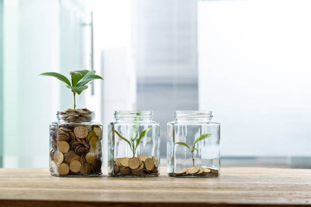 istock Green plants growing from the glass jars 1239042737