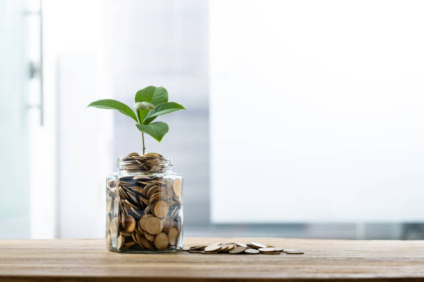 istock Green plant growing from the coins jar 1239047789
