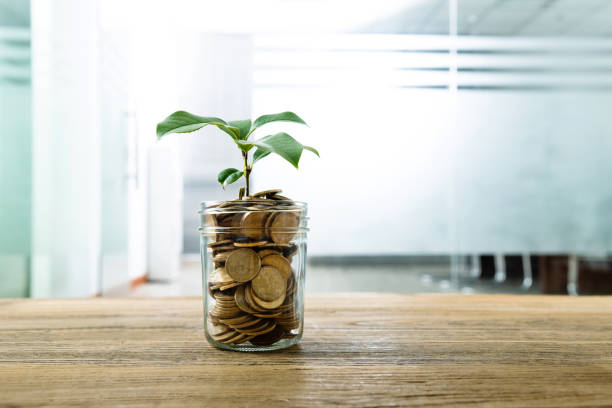 istock Green plant growing from the coins jar 1239053988