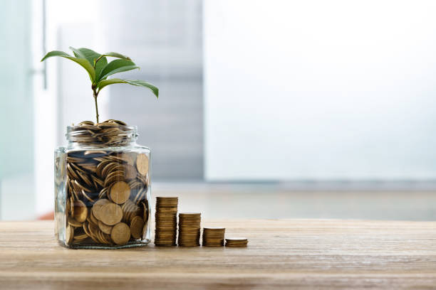 istock Green plant growing from the coins jar 1239054139