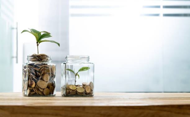 istock Green plants growing from the glass jars 1239056077