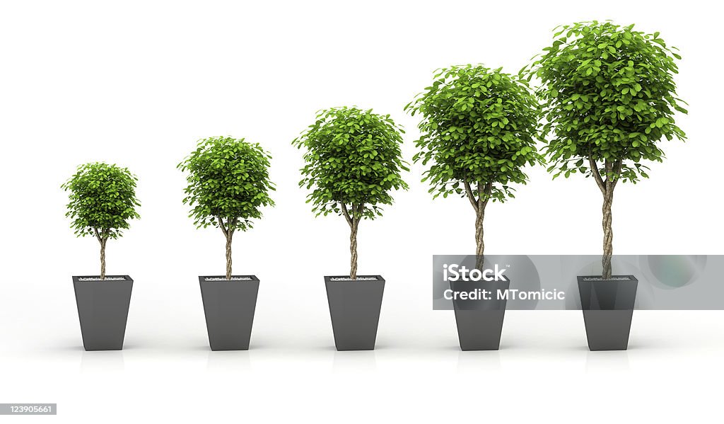 Cultivo de plantas, isolada no branco ",Crescente Vermelho - Foto de stock de Crescimento royalty-free