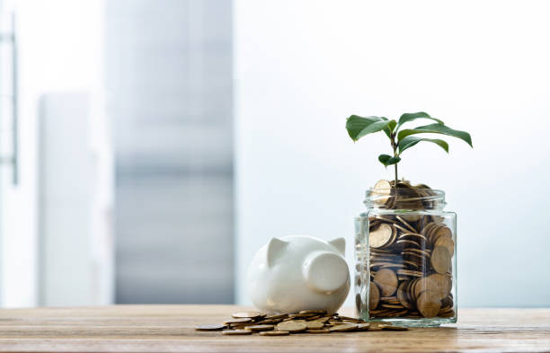 istock Green plant growing from the coins jar 1239064129