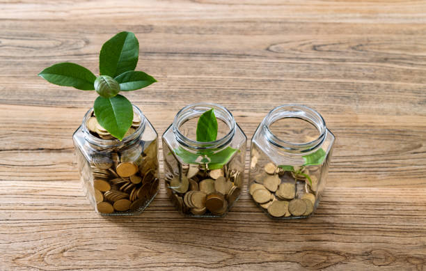 istock Green plants growing from the glass jars 1239065235