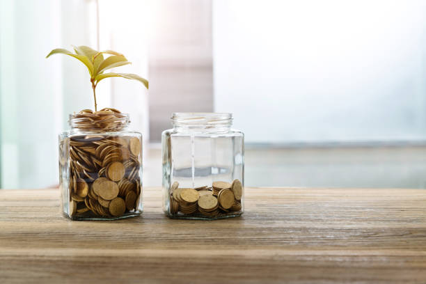istock Green plant growing from the coins jar 1239065236