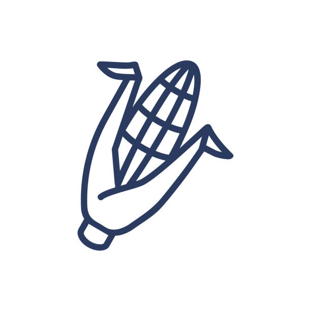 ilustrações, clipart, desenhos animados e ícones de ícone da linha fina da espiga de milho - corn corn crop corn on the cob isolated