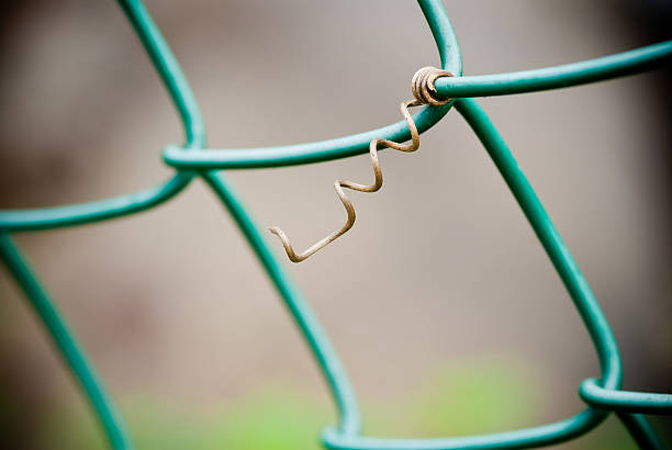 fence and tendrils detail of a metal fence with a vine tendril alambrada stock pictures, royalty-free photos & images