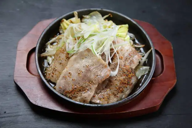 stir fried pork with ginger on dark background