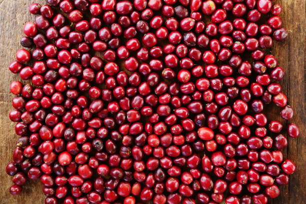 istock close up of fresh coffee beans 1239117440