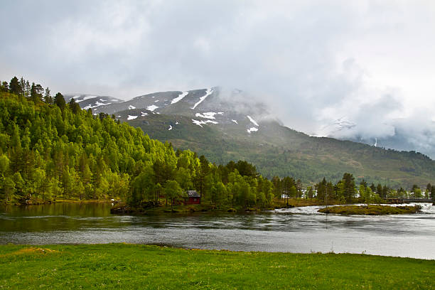istock Norway scenery with pine forest, river and fishman house 123912076