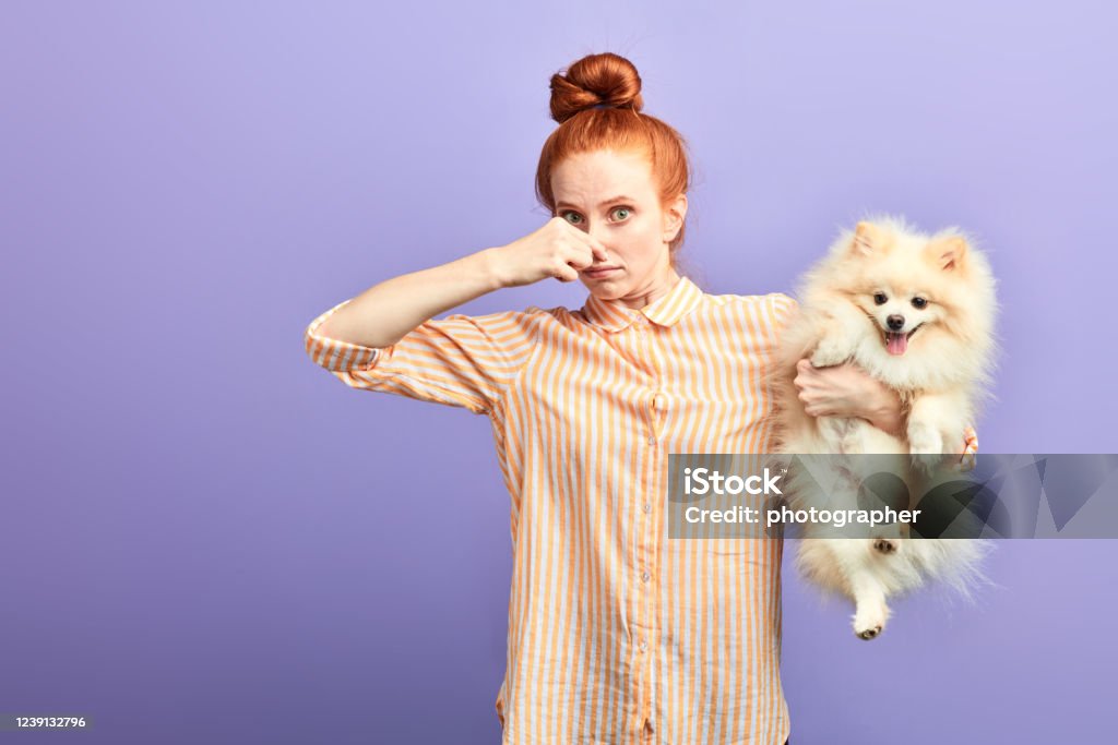 Funny Girl With Stylish Striped Shirt Closing Her Nose As The Dog Is  Farting Stock Photo - Download Image Now - iStock
