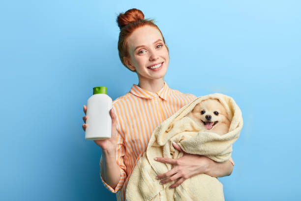 istock charming attractive pet owner advertising the shampoo 1239140424