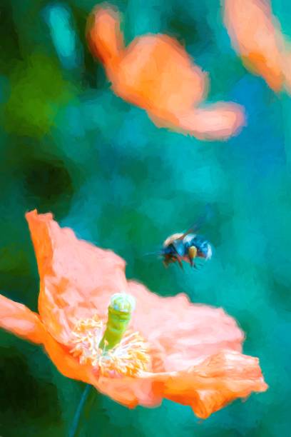 istock Bumble Bee And Orange Poppy In A Painterly Style 1239154542