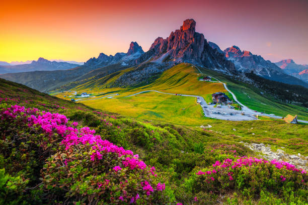 istock Mountain pass with flowery fields on the hills, Dolomites, Italy 1239162540