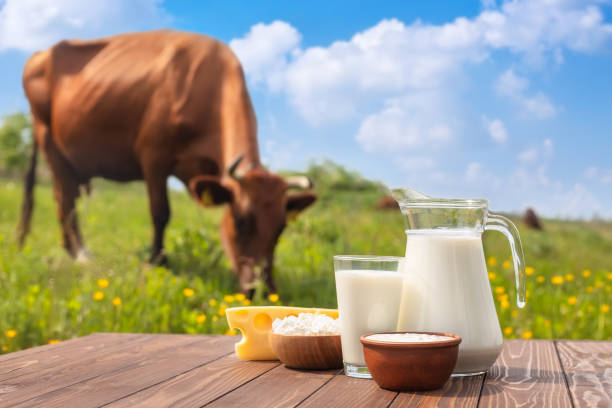 istock milk in glass jug 1239178547