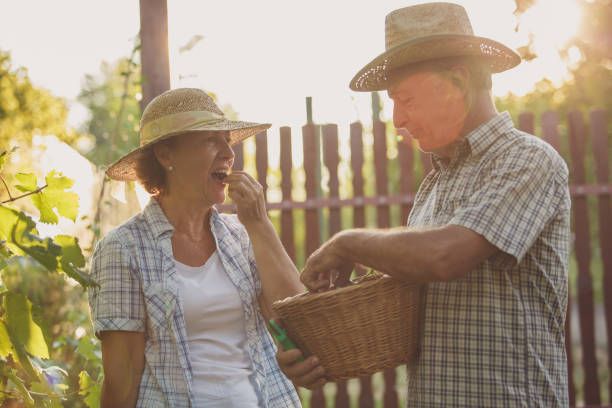 istock Happy senior couple harvesting and snacking on grapes 1239206094