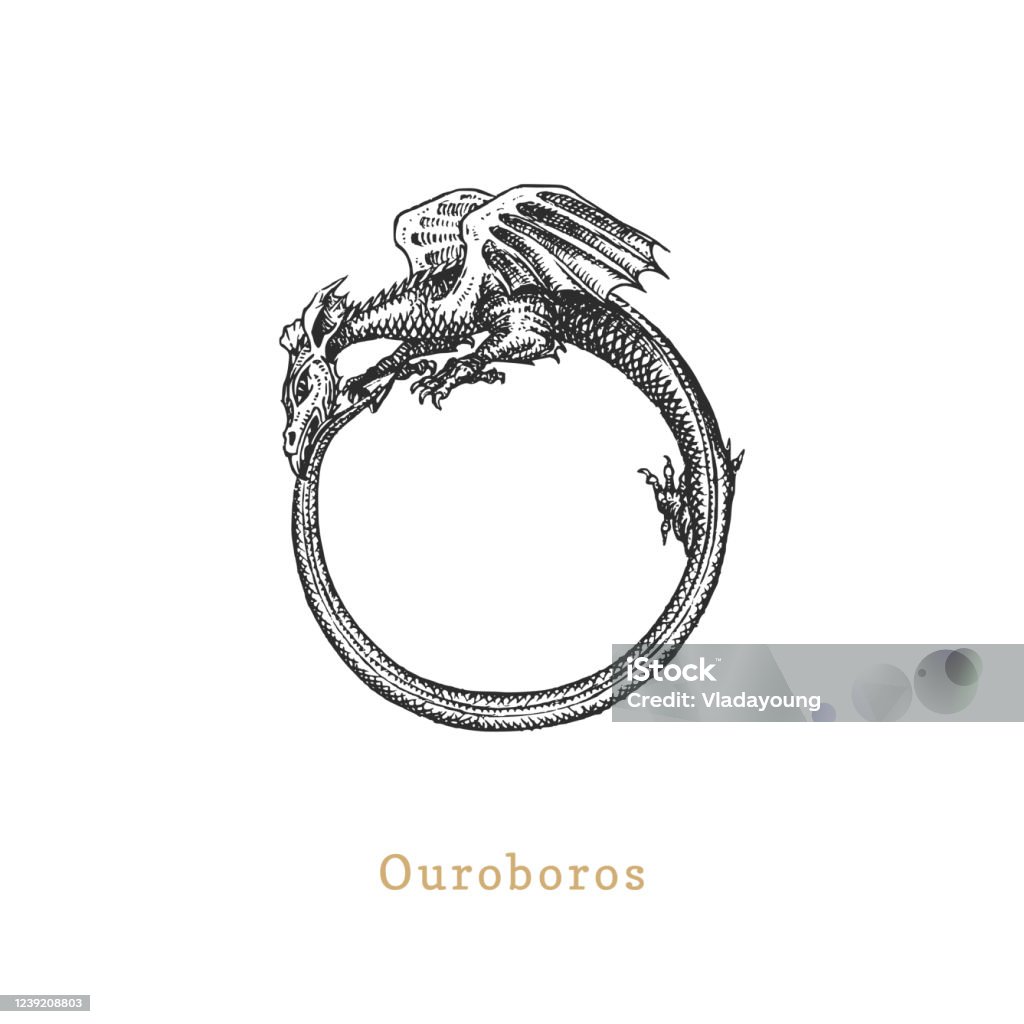 Ouroboros ภาพประกอบเวกเตอร์ในสไตล์การแกะสลัก พาสทิชวินเทจของป้าย Esoteric  และ Occult ภาพสเก็ตช์ที่วาดไว้ ภาพประกอบสต็อก - ดาวน์โหลดรูปภาพตอนนี้ -  Istock