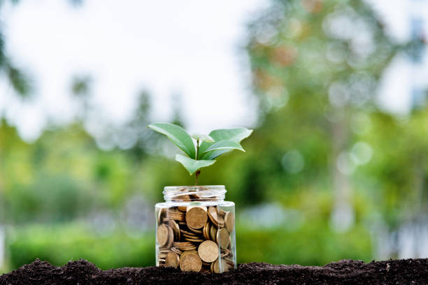istock Plant growing from coins jar 1239210400