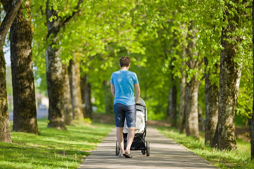 Young father pushing white baby stroller and slowly walking through alley of green trees in warm, sunny summer day. Spending time with infant and breathing fresh air. Enjoying stroll. Back view.
