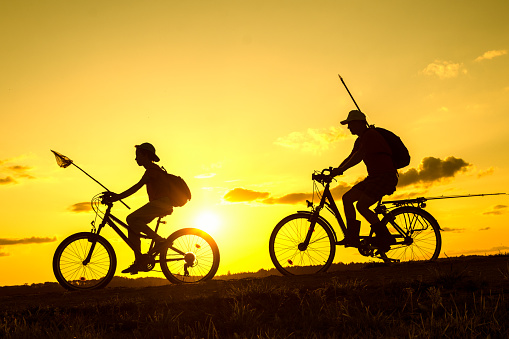 Father and son returning from fishing in the evening, silhouettes of people on bicycles in nature