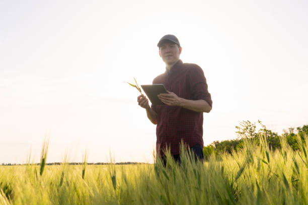 istock Farmer with digital tablet on a potato field 1239242322