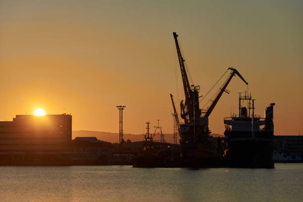 istock Cranes and ships in the port at sunset 1239261053
