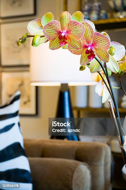 Foto de Orchid e mais fotos de stock de Amarelo - Amarelo, Arranjo de Flores, Artigo de decoração
