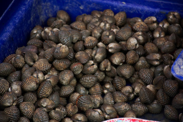 istock Local market seafood shop 1239273142