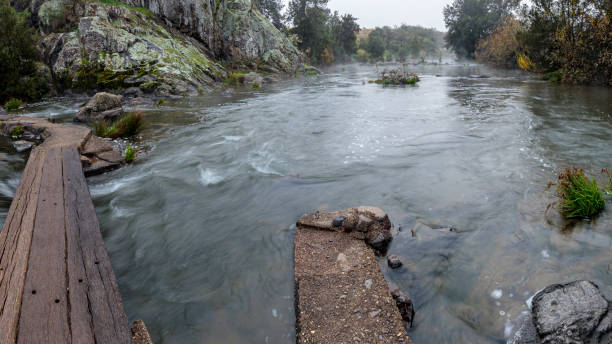 molonglo river fließt an der letzten fußbrücke über - gurgling stock-fotos und bilder