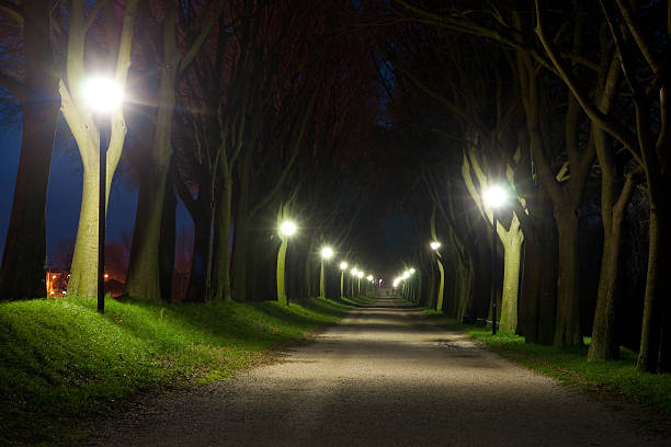 istock A country road illuminated at night 123931510