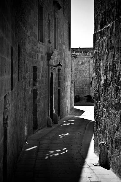 istock Mdina of Malta in Black and White 123931581