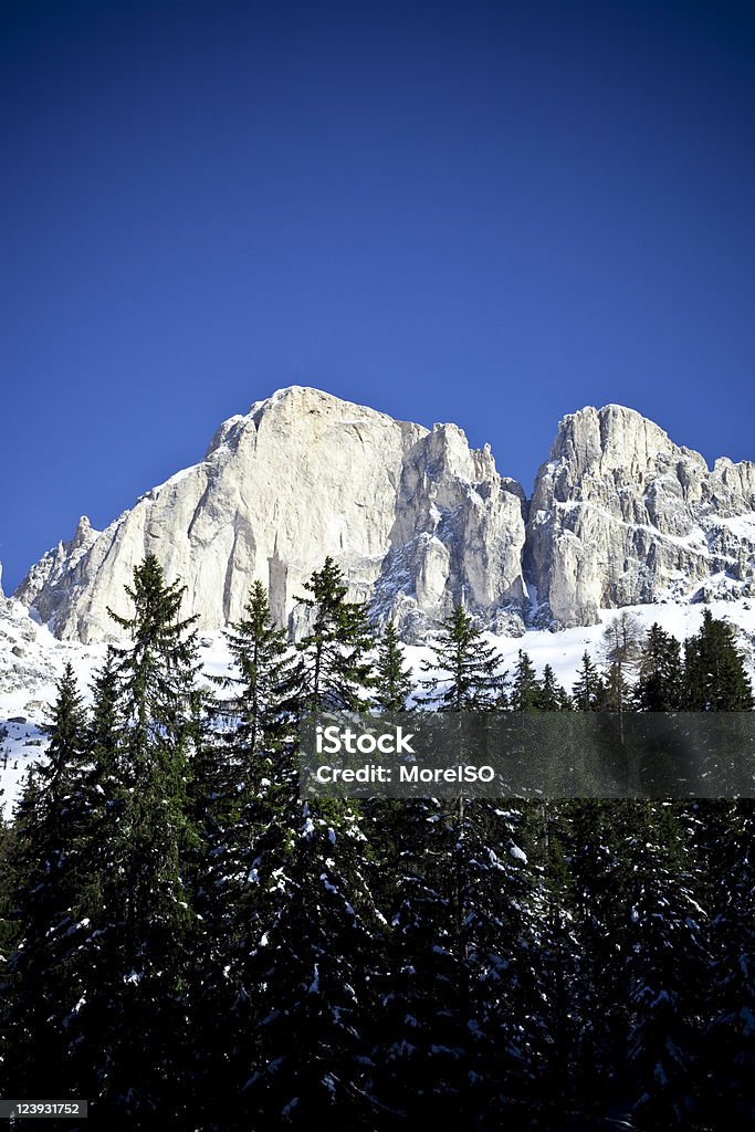 Inverno nelle Alpi - Foto stock royalty-free di Albero