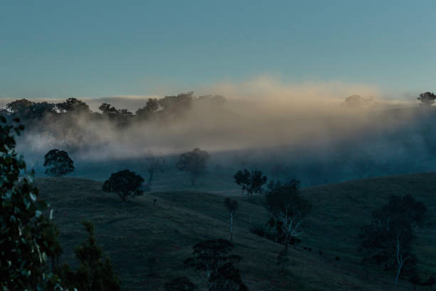 istock Fog rolling in on Gigerline Nature Reserve 1239327836