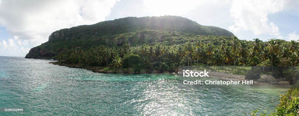 Tropical palm trees and ocean landscape at Las Galeras Beach in the Samaná Bay of Caribbean Dominican Republic. Adventure Stock Photo