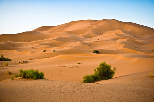 사하라 사막 - landscape desert wave pattern erg chebbi dunes 뉴스 사진 이미지