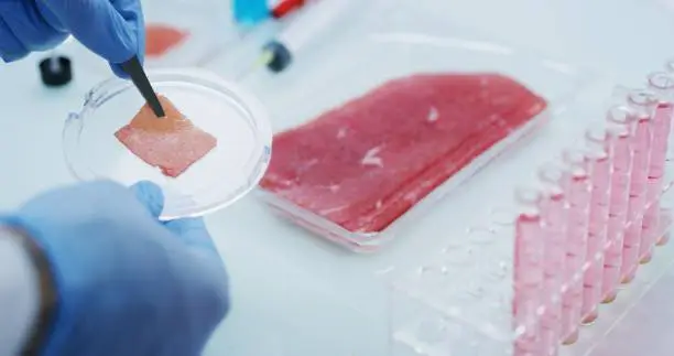 Photo of Close up of a scientist is checking the cultured artificial meat sample in a modern laboratory.