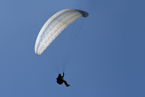 Paragliders are flying over golden rice fields in An Giang province, Mekong Delta