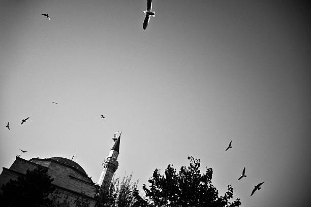 istock Mosque in Istanbul, Black and White 123936051