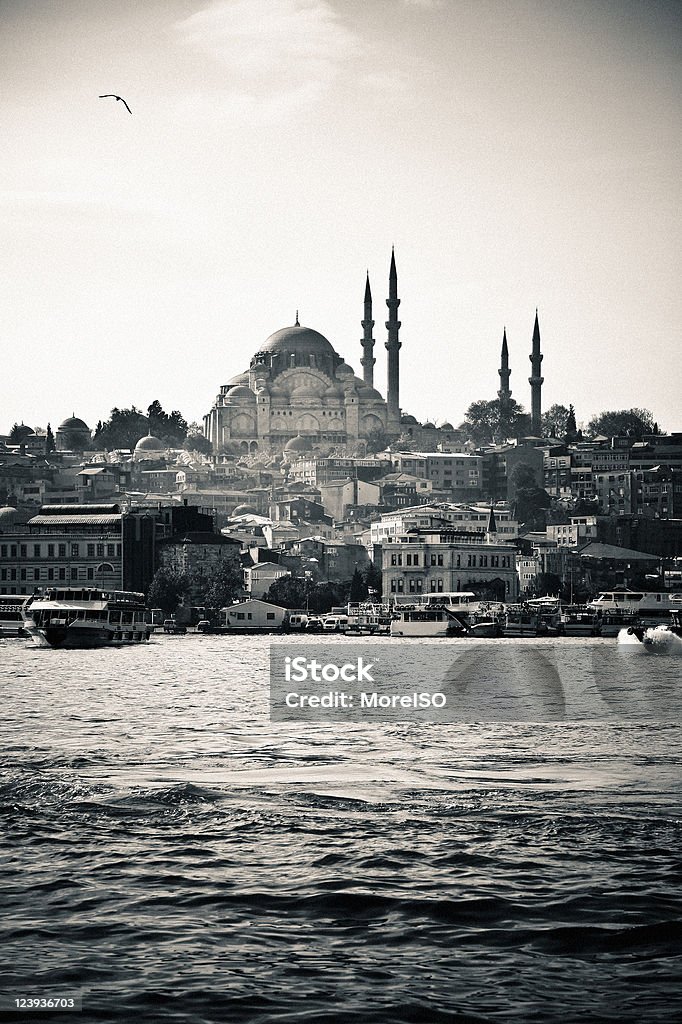 Panorama de la ciudad de Estambul, monocromo - Foto de stock de Arquitectura libre de derechos